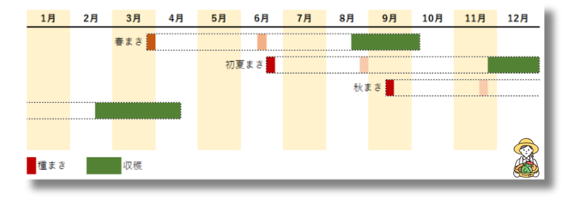 葉ネギ栽培カレンダー