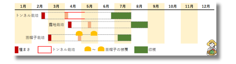 カボチャ栽培カレンダー